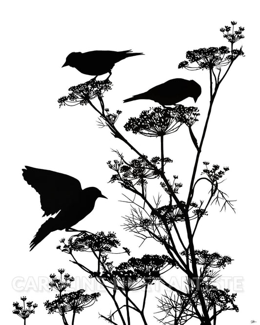 Tirage Fine Art - Ode N.5