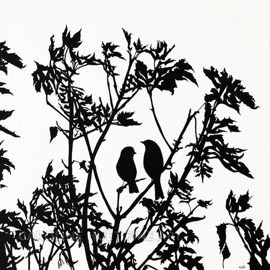 dessin naturaliste réalisé à l'encre de chine sur papier d'art par l'artiste Caroline Huet